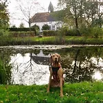 Fewo-wittland Mit Hund Im