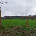 Fewo-wittland Mit Hund Im