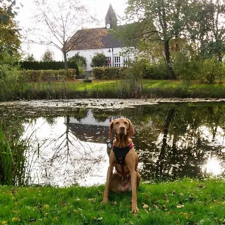 Fewo-wittland Mit Hund Im