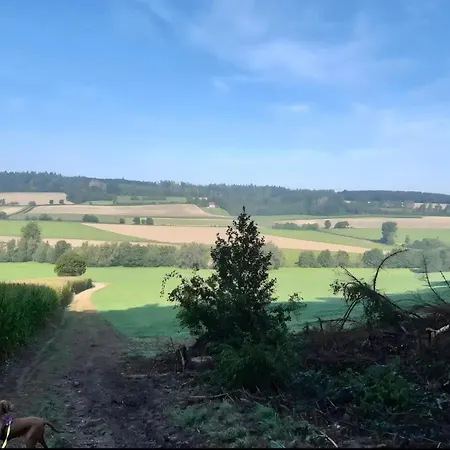 公寓 Fewo-wittland Mit Hund Im