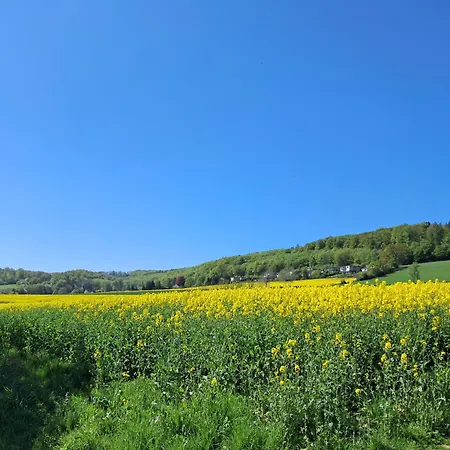 Fewo-wittland Mit Hund Im شقة