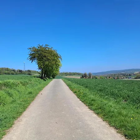 Fewo-wittland Mit Hund Im *