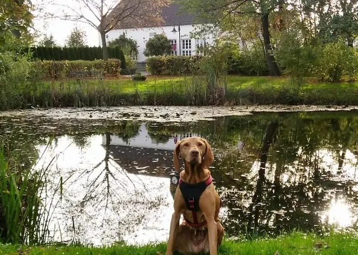 Fewo-wittland Mit Hund Im