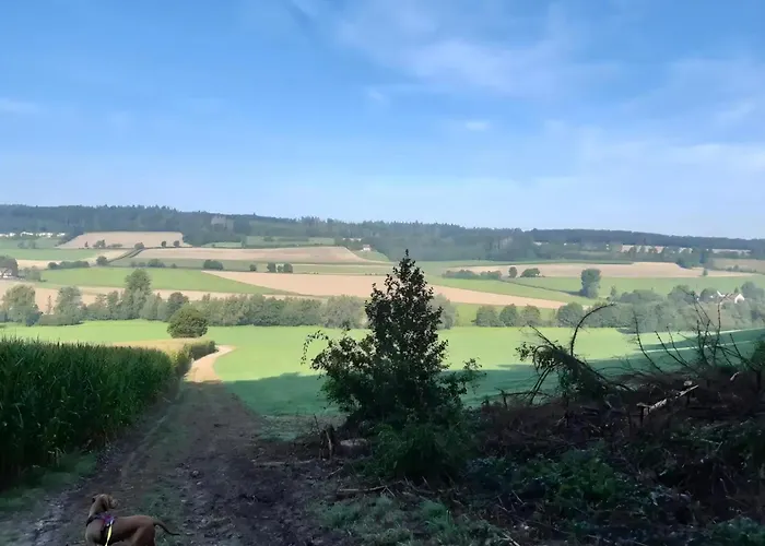 公寓 Fewo-wittland Mit Hund Im