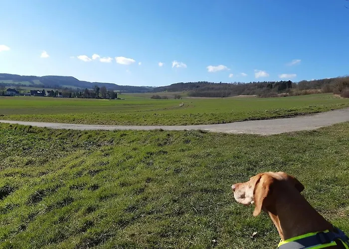 公寓 Fewo-wittland Mit Hund Im